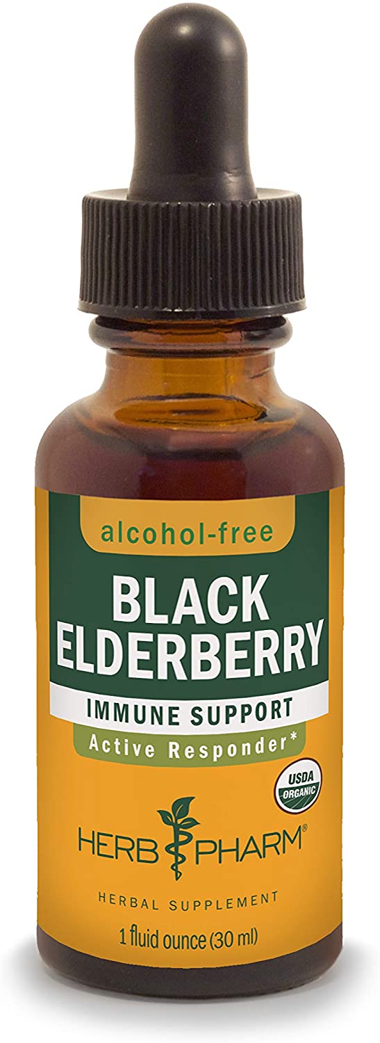 9 Best Elderberry Supplements For Immune Boosting