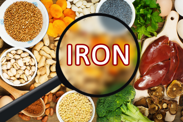11 Best Iron Rich Foods for Increased Energy and Stamina